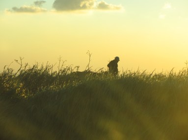 cathopic_1485487421717819