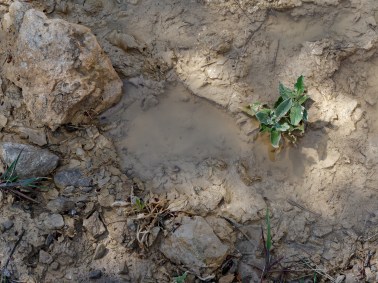 nicolas_bl-1562001580284-cathopic